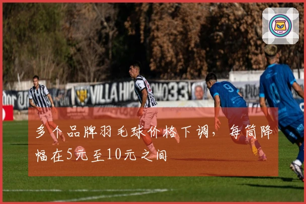 多个品牌羽毛球价格下调，每筒降幅在5元至10元之间