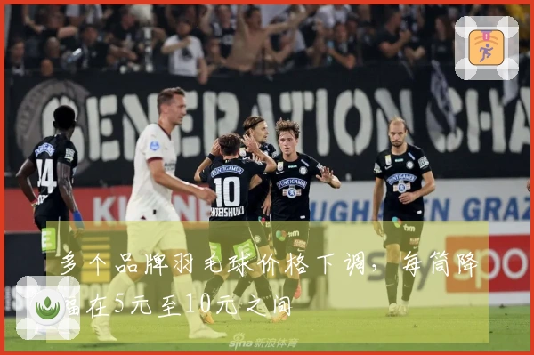 多个品牌羽毛球价格下调，每筒降幅在5元至10元之间